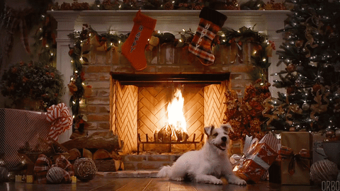 https://media.giphy.com/media/qOpEfZiQedLyg/giphy.gif