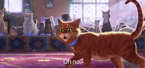 giphy.gif