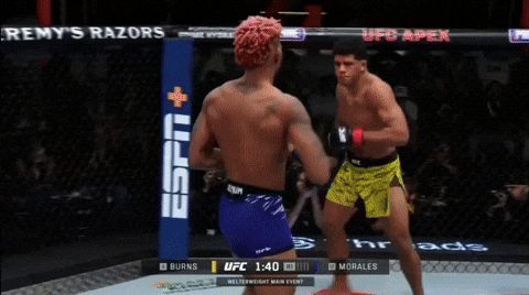 giphy.gif