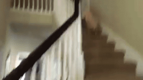 Fall best Gif