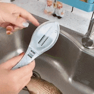 Removedor de escamas de peixe