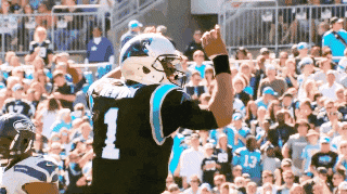 Carolina Panthers Football GIF - Find & Share on GIPHY