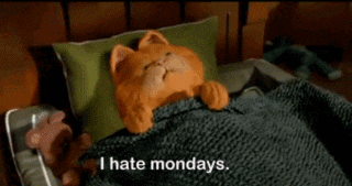 a cat saying he hate mondays