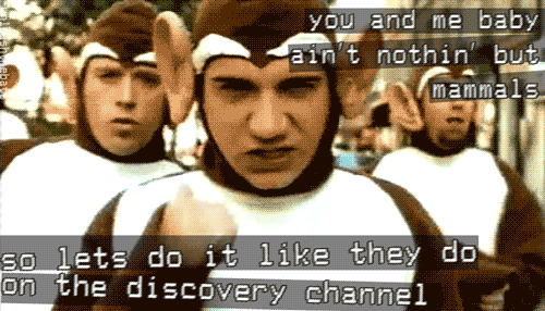 sex monkey discovery bloodhound gang the bad touch