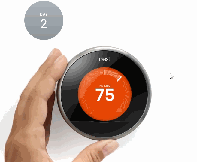 Nest GIF Find & Share on GIPHY