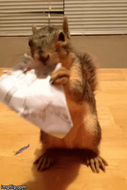 https://media.giphy.com/media/qgt67peDOVhKw/giphy.gif