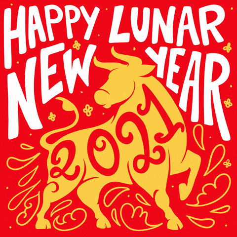 New Year Festival GIF by INTO ACTION