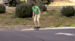 real skateboards