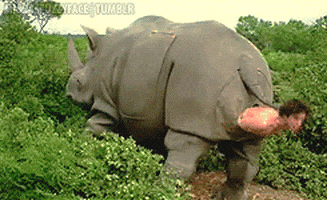 Birth Scene GIFs - Find & Share on GIPHY
