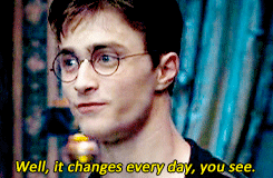Harry Potter And The Order Of The Phoenix GIF - Find & Share on GIPHY