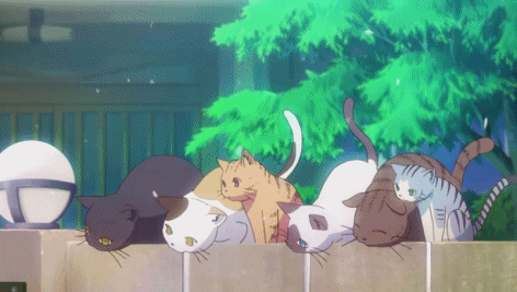 anime animal kawaii adorable cute animals