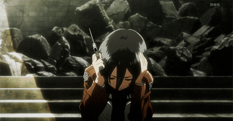 Shingeki No Kyojin Animated Gif
