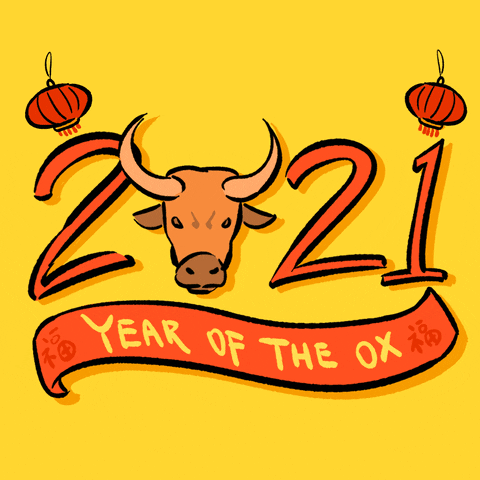 Spring Festival Ox GIF by INTO ACTION