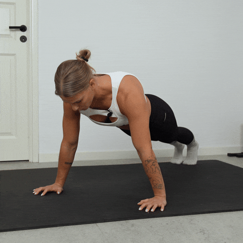 plank hold on knees exercise demonstration