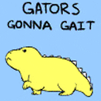 Waddle Waddle GIFs - Find & Share on GIPHY