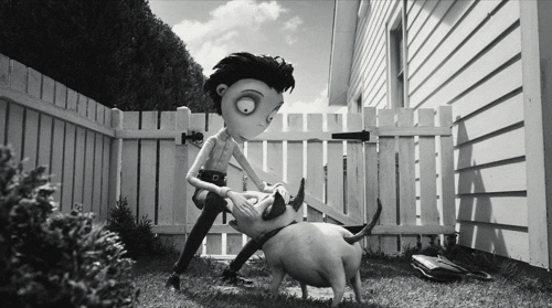 Frankenweenie GIF - Find & Share on GIPHY