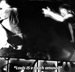 Louis Tomlinson This Whole Thing Is Fcking Hilarious GIF - Find & Share ...