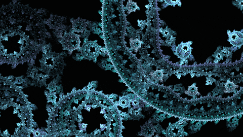 Image result for fractals gif