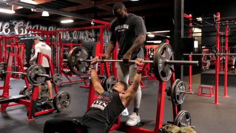 Mike Rashid Muscle Building Strength Bench Press