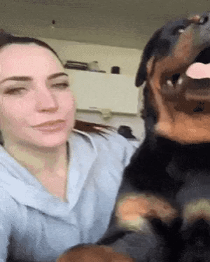 Dont copy me hooman in dog gifs