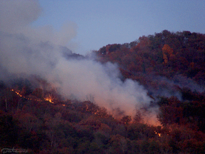 Wildfire burning