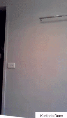 Dramatic Suicide in funny gifs