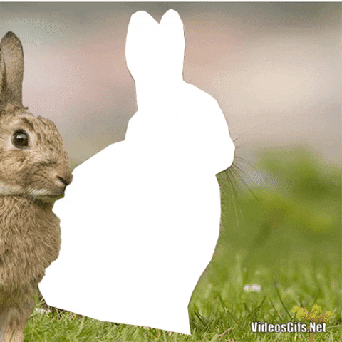 Bunny in gifgame gifs