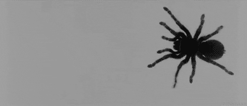 Scary Black And White GIF