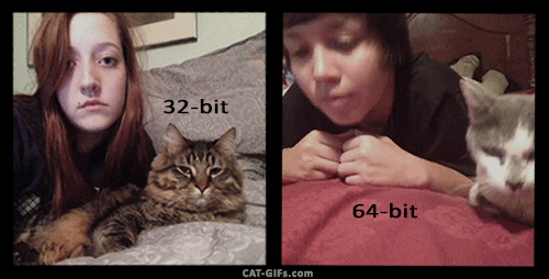 giphy.gif