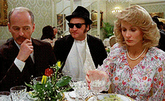 The Blues Brothers Dumbass Paige GIF - Find & Share on GIPHY