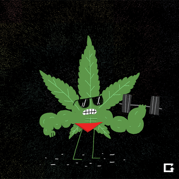 Weed Gif By gif Find & Share on GIPHY