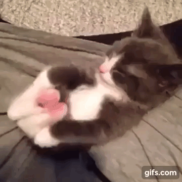 Toes GIF - Find & Share on GIPHY