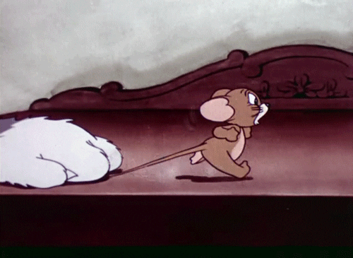 Tom And Jerry Please GIF - Find & Share on GIPHY