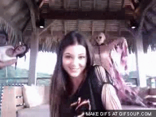 Kendall Jenner GIF - Find & Share on GIPHY