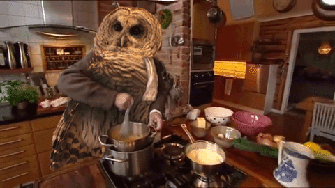 Owl Cooking Gif Find Share On Giphy