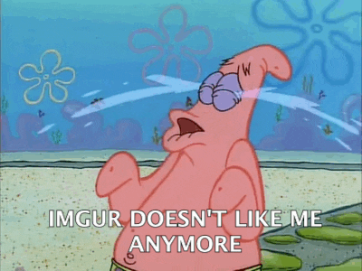  Patrick  GIF  Find Share on GIPHY