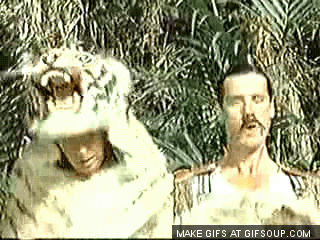 Tiger Python GIF