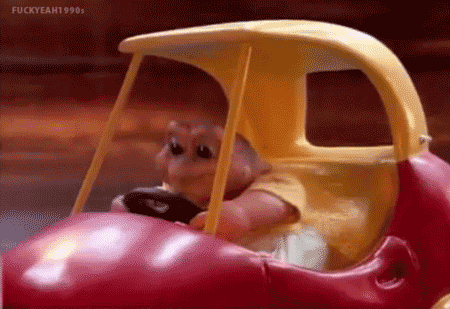 Driving Test GIFs Find Share On GIPHY