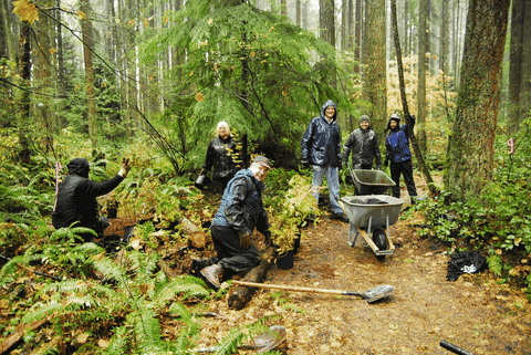 Tree Planting GIFs - Find & Share on GIPHY