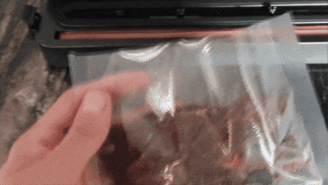 FreshPak: Is a Vacuum Sealer a Worthwhile Kitchen Investment?