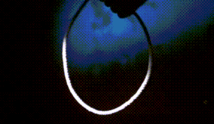 https://media.giphy.com/media/rMz86BELY9DhK/giphy.gif