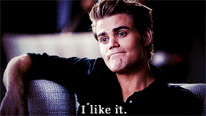 Dont Mind Me Paul Wesley GIF - Find & Share on GIPHY