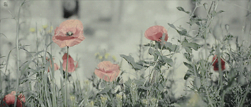 Resultado de imagen para WIND GIF