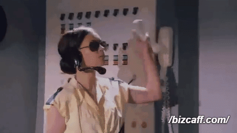 giphy.gif