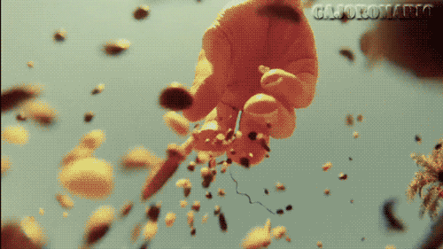 beach food & drink hippie