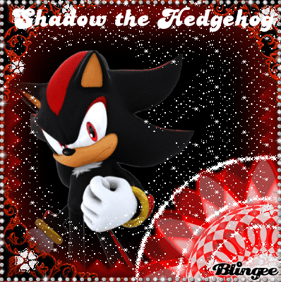 Shadow The Hedgehog GIF - Find & Share on GIPHY