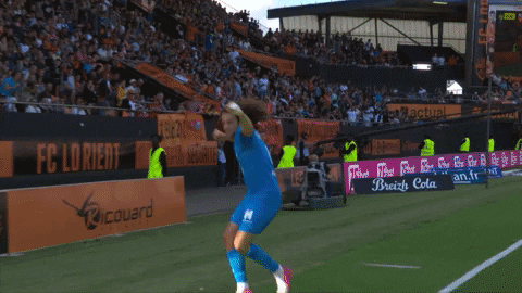 giphy.gif