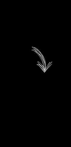fun gif