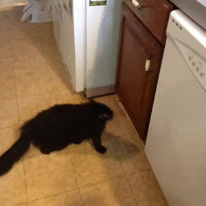 Clever GIF - Find & Share on GIPHY