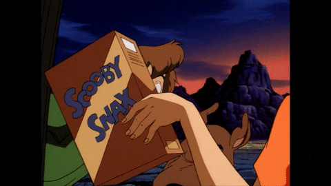 Scooby-Doo snack scooby doo shaggy scooby